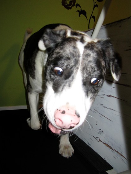 I promise I don't make this face when I work out. 