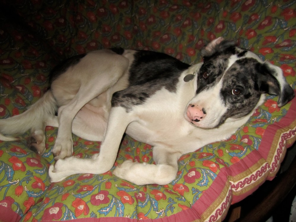 The opposite of what Sherman does when his grandparents visit. 