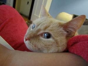 He knows I'm writing about him again. 