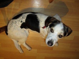 Oh dear. I miss those speckles. 