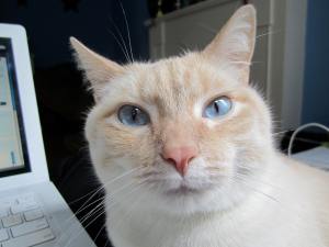 Leroy more recently, keeping an eye on things. 