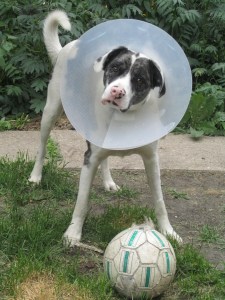 Sherman and the ball on a better day, for the ball, anyway. 