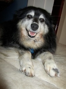 Miss Bernadette is warming up to the good life, ever so slowly. 