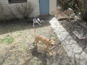 She and Sherm have been playing non-stop. 