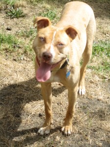 Hot day, sunny disposition. 