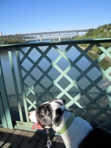 Crossing the river on a perfect July morning.