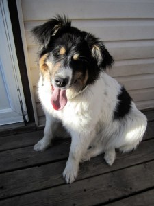 She is so darn snuggleable.