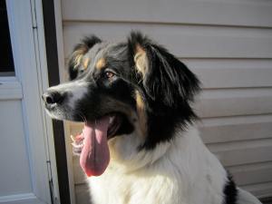 Have a great life, sweet girl. 